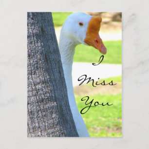 Liebe/beliebiger Fall_Postkarte Postkarte