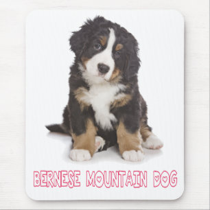 Liebe Berner Sennenhund Welpe Mauspad
