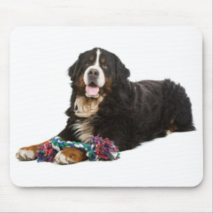 Liebe Berner Sennenhund Welpe Mauspad