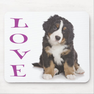Liebe Berner Sennenhund Welpe Mauspad