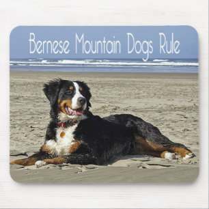 Liebe Berner Sennenhund Welpen Mauspad