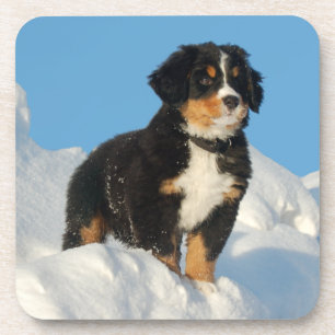 Liebe Berner Sennenhund Welpen Untersetzer Set