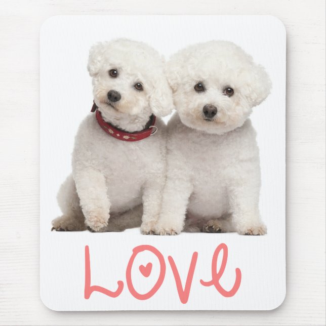 Liebe Bichon Frise Welpe Hund Computer Mousepad (Vorne)
