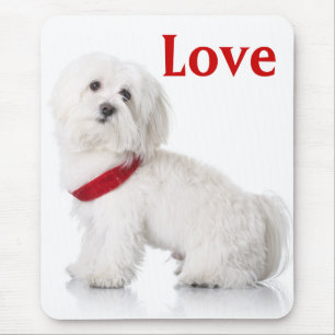 Liebe Bichon Frise Welpen Hund Mauspad