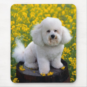 Liebe Bichon Frise Welpen Hund Mauspad
