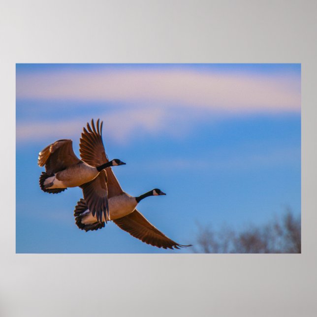 Liebe bleibe zusammen poster (Vorne)