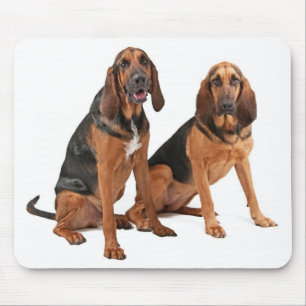Liebe Bloodhound Welpe Hund Mousepad