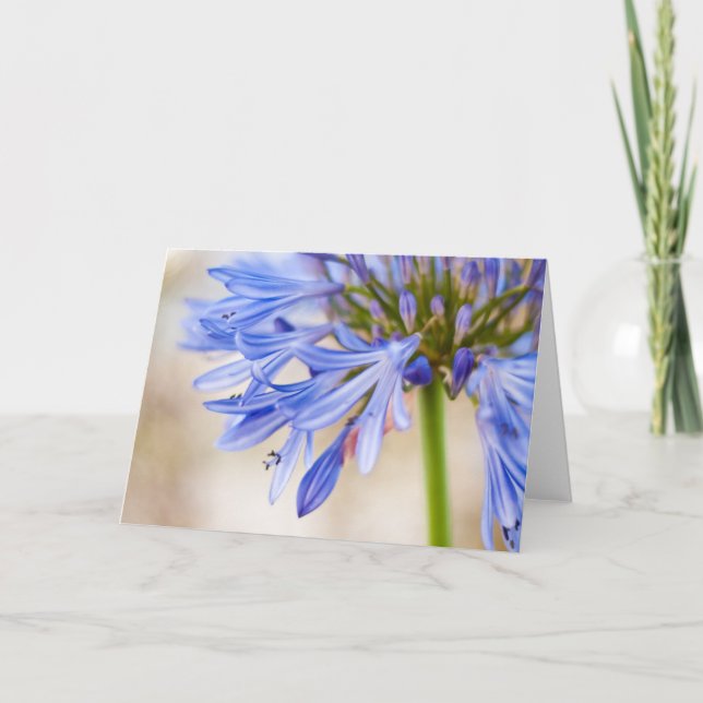 Liebe Blume Grußkarte Karte (Vorderseite)