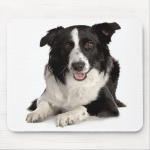 Liebe Border Collie Welpe Hund Mauspad