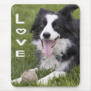 Liebe Border Collie Welpe Hund Mauspad