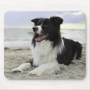 Liebe Border Collie Welpe Hund Mauspad