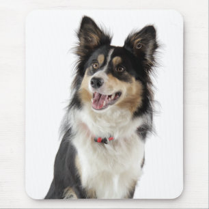 Liebe Border Collie Welpe Hund Mauspad