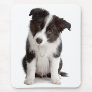 Liebe Border Collie Welpe Hund Mauspad