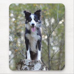 Liebe Border Collie Welpe Hund Mauspad