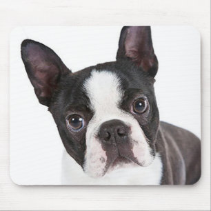 Liebe Boston Terrier Welpe Hund Computer Mousepad