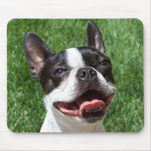 Liebe Boston Terrier Welpe Hund Computer Mousepad
