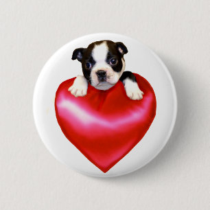 Liebe-Boston-Terrierknopf Button