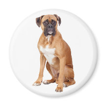 Liebe Boxer Puppy Dog Kühlschrankmagnet