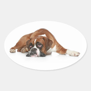 Liebe Boxer Welpe Hund Gruß Aufkleber