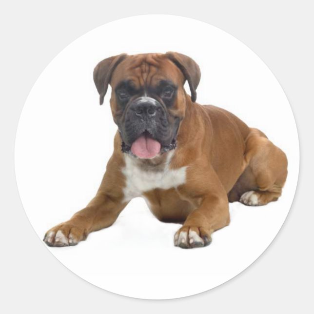 Liebe Boxer Welpe Hund Grußaufkleber Runder Aufkleber (Vorderseite)