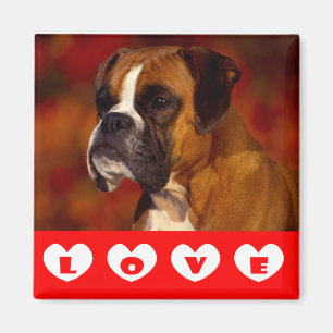 Liebe Boxer Welpe Hund Kühlschrank Magnet