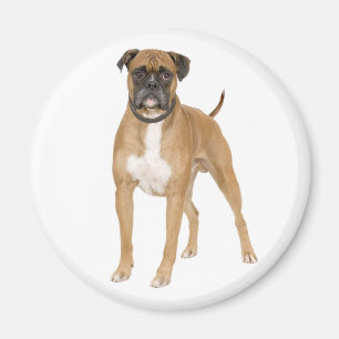 Liebe Boxer Welpe Hund Kühlschrank Magnet