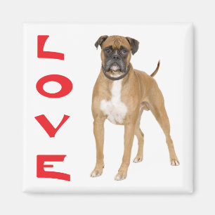 Liebe Boxer Welpe Hund Kühlschrankmagnet Magnet