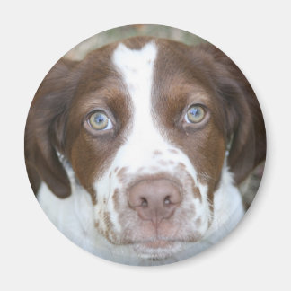 Liebe Bretagne Magnet