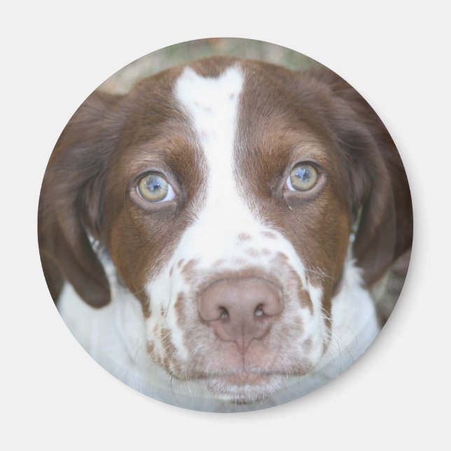 Liebe Bretagne Magnet (Vorne)