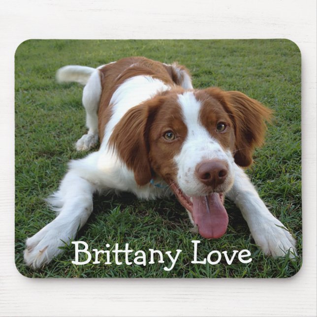 Liebe Brittany Spanisch Welpe Hund Mousepad (Vorne)
