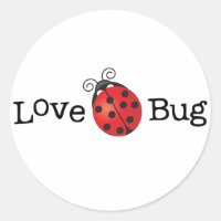 Liebe Bug - Ladybug