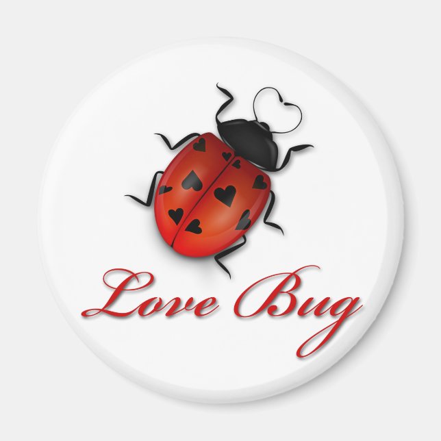 Liebe Bug Magnet (Vorne)