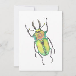 Liebe Bug Rainbow Stag Käfer Mitteilungskarte
