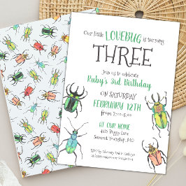 Liebe Bugs Geburtstagskinder Einladung