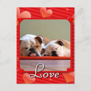 Liebe Bulldogs Postkarte