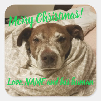 Liebe Bullet und sein Mensch Quadratischer Aufkleber