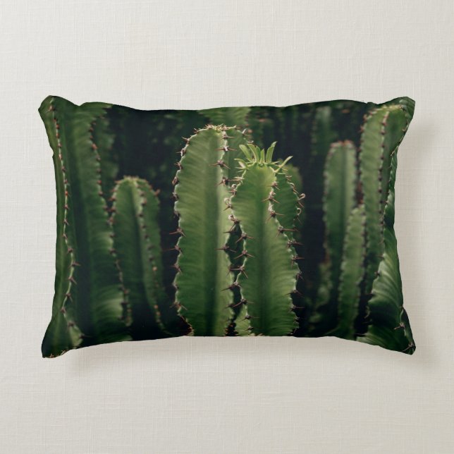LIEBE CACTUS DEKOKISSEN (Vorderseite)