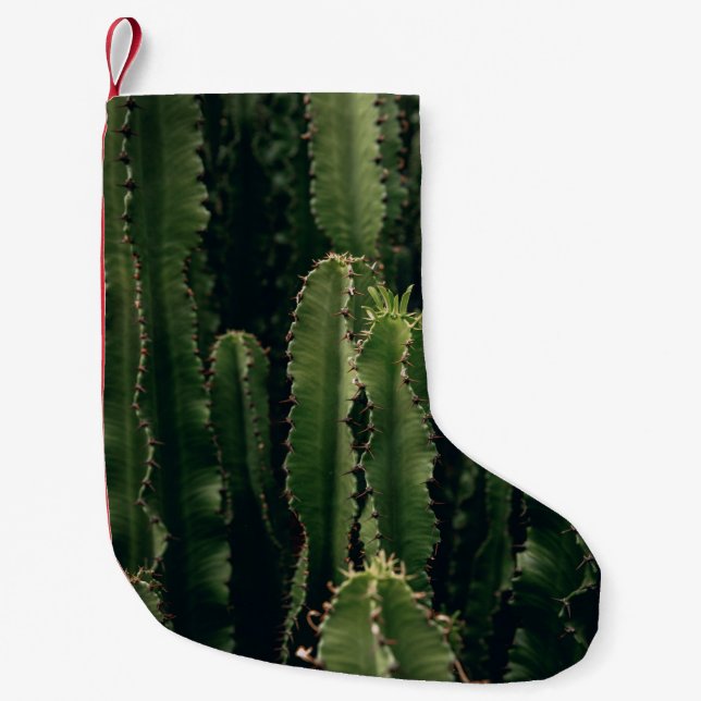 LIEBE CACTUS KLEINER WEIHNACHTSSTRUMPF (Vorderseite)
