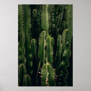 Liebe CACTUS Poster