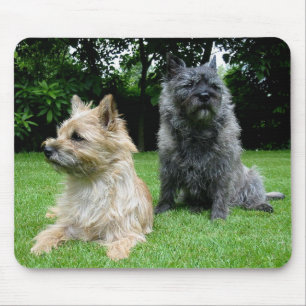 Liebe Cairn Terrier Welpe Hund Mousepad