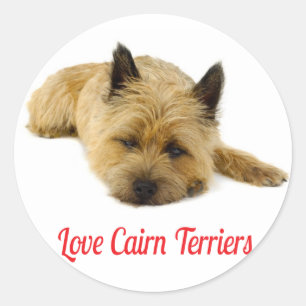 Liebe Cairn Terrier Welpenhund Grüßaufkleber Runder Aufkleber