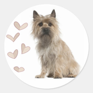 Liebe Cairn Terrier Welpenhund Grüßaufkleber Runder Aufkleber