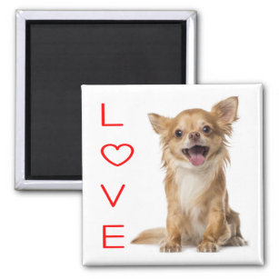 Liebe Chihuahua Puppy Dog Kühlschrankmagnet Magnet