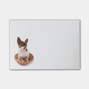 Liebe Chihuahua Welpe Hund Post IT Sticknotes Post-it Klebezettel