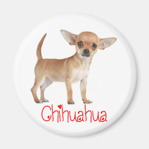 Liebe Chihuahua Welpen Hund Kühlschrank Magnet