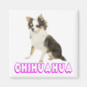 Liebe Chihuahua Welpen Hund Kühlschrank Magnet