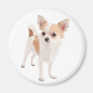 Liebe Chihuahua Welpen Hund Kühlschrank Magnet