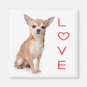 Liebe Chihuahua Welpen Hund Kühlschrank Magnet