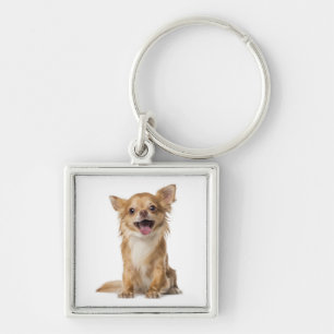 Liebe Chihuahua-Welpen-Hund Schlüsselanhänger
