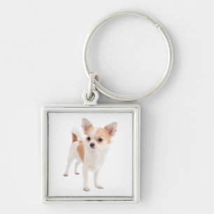 Liebe Chihuahua Welpen Hund Schlüsselanhänger